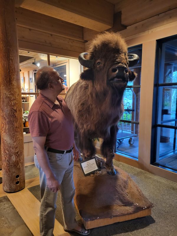Photo of S. T. and Floyd the (stuffed) bison