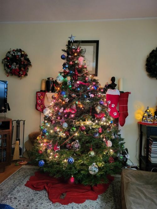 The Joshi-Wilson 2024 Xmas tree