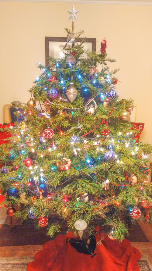 Joshi-Wilson Christmas Tree, December 2020